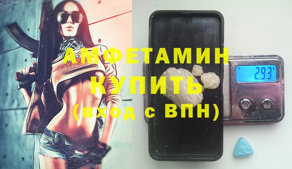 молекула духа Рыльск
