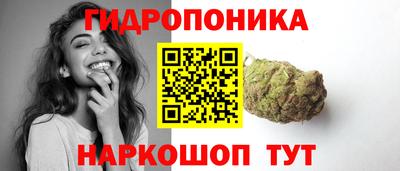 соль ск Можга