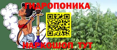 соль ск Можга