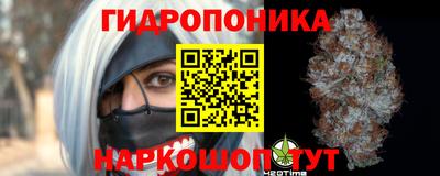 соль ск Можга