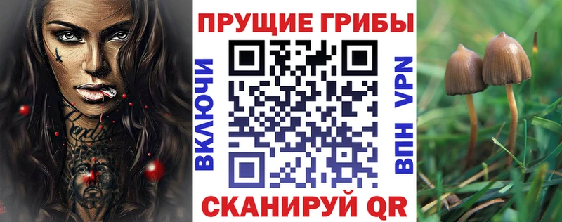 Галлюциногенные грибы мухоморы  что такое   Тихорецк 