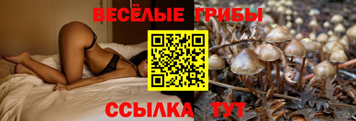 сколько стоит  Галлюциногенные грибы Psilocybe  Вход с VPN  Тихорецк 