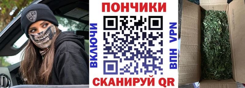 Бошки марихуана семена  Тихорецк 